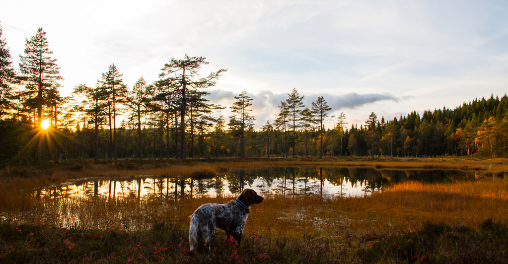 Solnedgang  ved liile Hvisteinvann