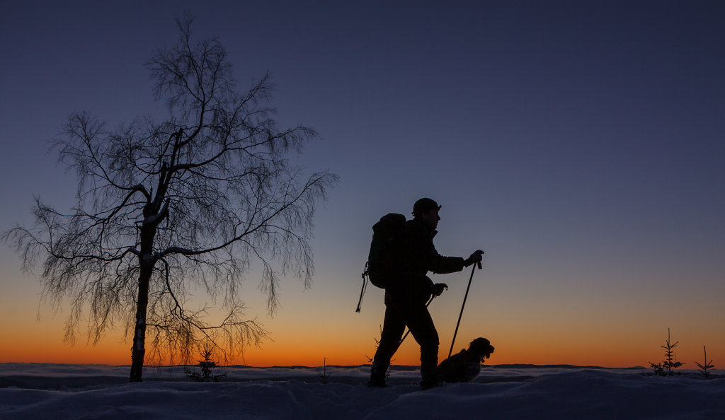 På tur i solnedgang på Vidvangen