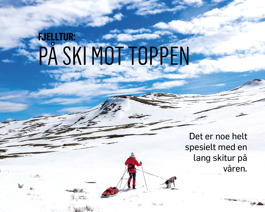 Fjelltur-topp.jpg