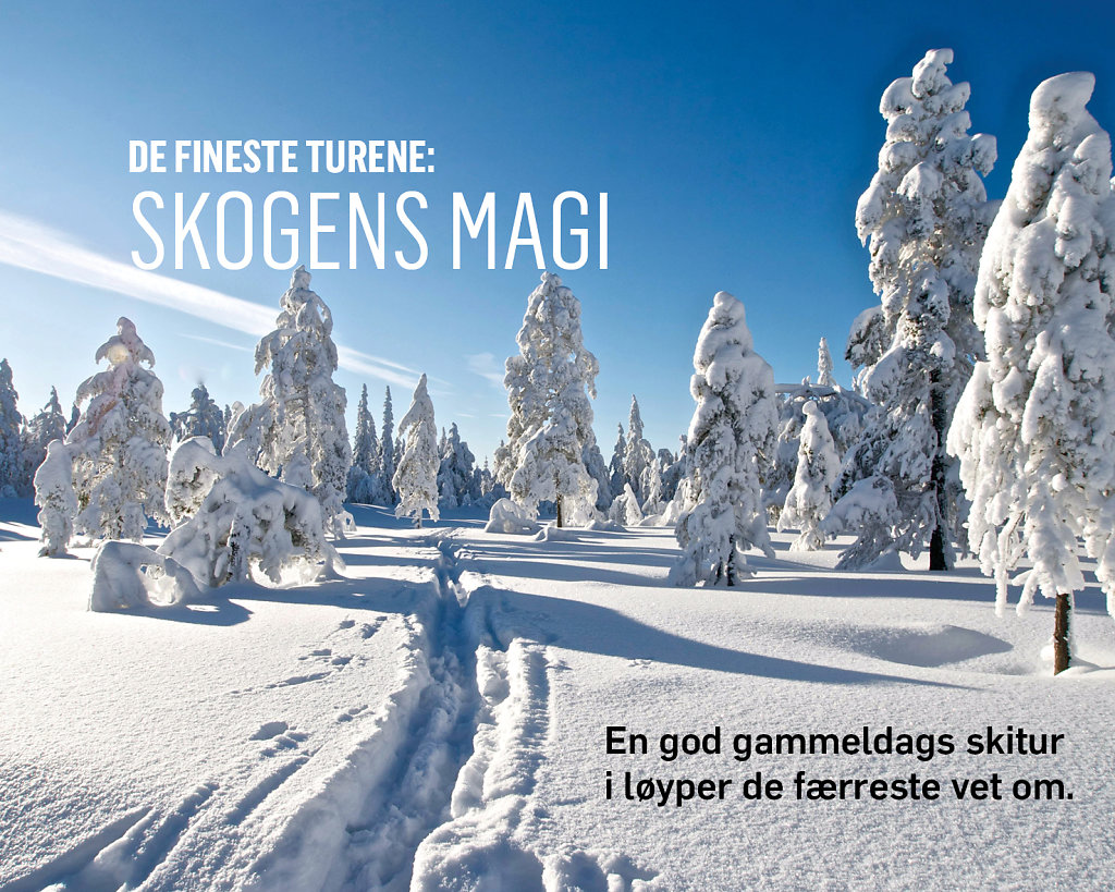 Skitur-skogens-magi.jpg