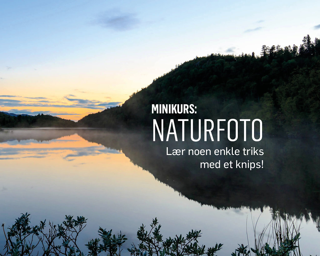 Naturfoto.jpg